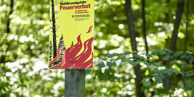 Immer mehr Gemeinden und Städte verbieten das Abbrennen von Feuerwerk am 1. August. (Symbolbild)