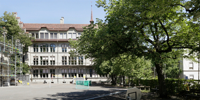 Sie sind nun Geschichte: die schönen Linden auf dem Pausenplatz der Schule Lavater, kurz vor der Fällung.