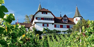 Das herrschaftliche Schloss Weinstein über den Marbacher und Rebsteiner Rebhängen