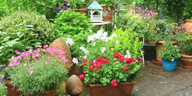 Wusstens Sie es? Pflanzen in spezieller Kübelpflanzen-Erde benötigen mehr Wasser als solche in Blumenerde mit hohem Torfanteil.