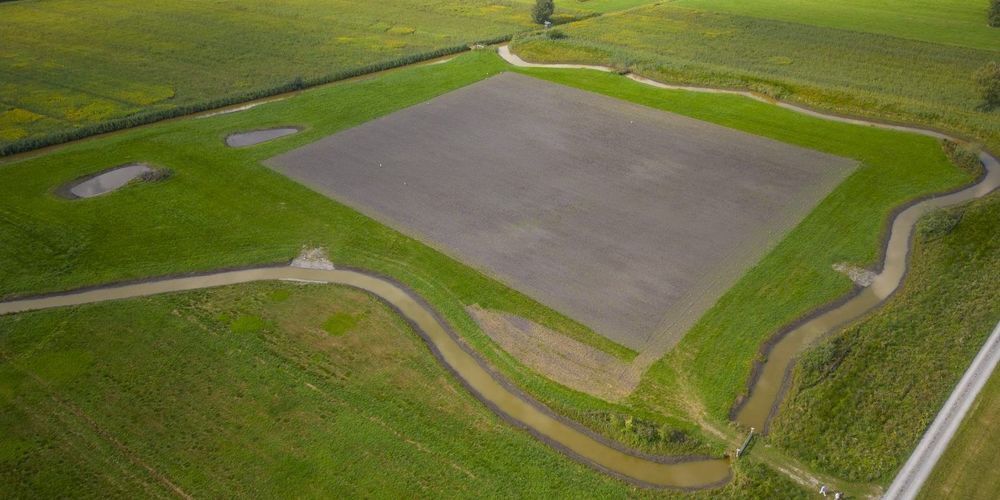 Das erst im Winter 2021 geschaffene Biotop weist bereits eine erstaunliche Artenvielfalt auf