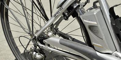 Ein 82-jähriger Mann wurde beim Sturz mit seinem Elektrovelo schwer verletzt. (Archivbild)