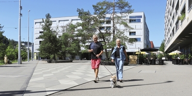 Eignet sich auch für einen Hundespaziergang: Max-Bill-Platz in Oerlikon.