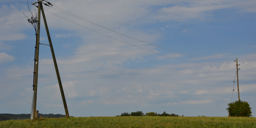 Der Vorschlag des Naturschutzvereins Regensdorf: Beim Rückbau der Strommasten sollen einige stehen bleiben.