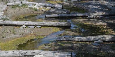 Fast versiegt: Der Fluss Breggia bei Mendrisio TI Mitte Juli. (Archivbild)