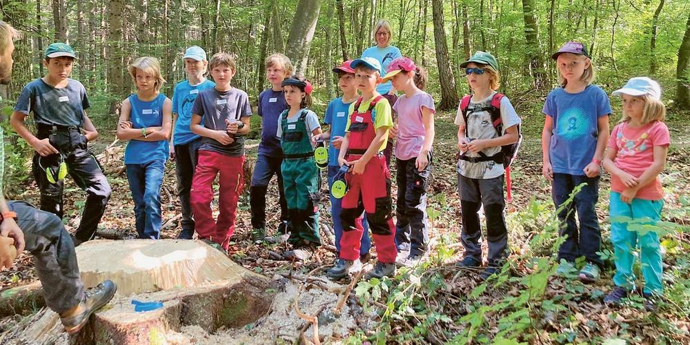 Im Wald konnten die Kinder viel über die unterschiedlichen Hölzer lernen.