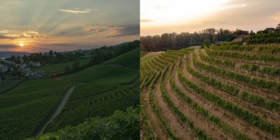 Lattenberg in Stäfa (rechts im Bild) und Schlatterhald in Feldbach.