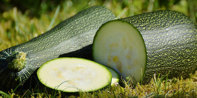 Die Zucchetti hat einen hohen Wasseranteil und ist deshalb sehr kalorienarm.