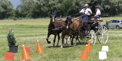Die Gespanne müssen genau zwischen die Pylonen treffen