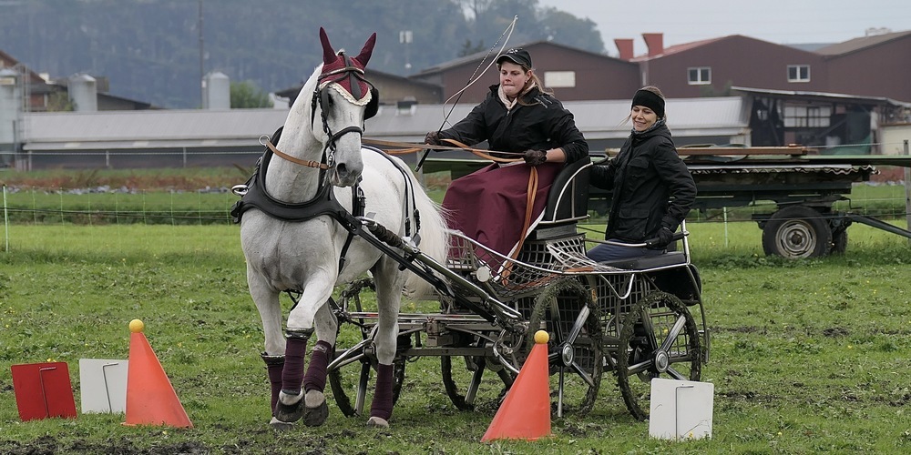 Es waren viele Gaststarter bei den Vereinsmeisterschaften des Gespann-Fahrvereins Rheintal am Start, wie hier Nina Walker