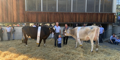 v.l.n.r.: Miss Red-Holstein/Holstein «Rösli» mit Walter Oberholzer, Miss Braunvieh «Dachs» mit Philipp Scherrer."