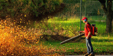 Laubbläser schaden laut Tierschutz der Bodenbiologie und bedrohen das Leben kleiner Tiere.