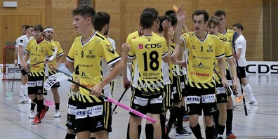 Die Unihockeyspieler von den Rheintal Gators dürfen mit ihrer Spielsaison zufrieden sein