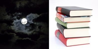 Verwandlungen sind nicht nur in der Natur zu finden, sondern auch in der Literatur. (Symbolbild)