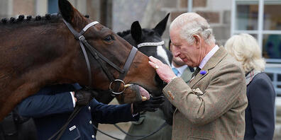 ARCHIV - Kein Ausverkauf: Das mit dem Pferde-Verkauf beauftragte Unternehmen betont, dass dies kein ungewöhnlicher Schritt für das Königshaus sei - Verkäufe gebe es jedes Jahr. Foto: Andrew Milligan/Pool via AP/dpa