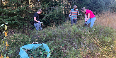 Regelmässige und fachkundige Einsätze von Pro Natura schützen das Hochmoor Enzenau in der Gemeinde Feusisberg.