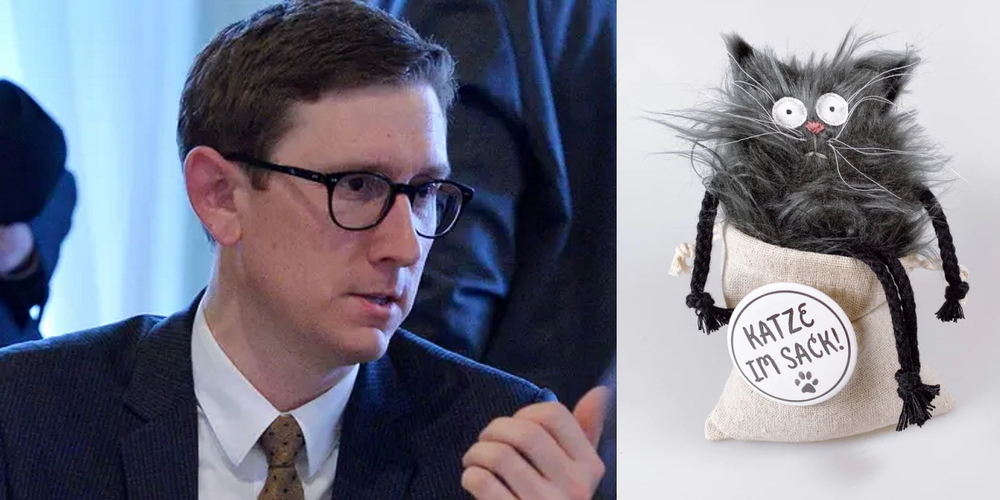 Staatswissenschaftler Lukas Schmucki erklärt in einem Zeitungsinterview, warum die Rapperswil-Joner mit dem Parlament die Katze im Sack kaufen würden.