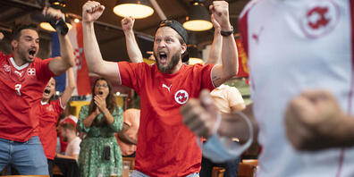 Fussball gucken wird bei der WM in Katar zum Politikum: Die AL fordert vom Zürcher Stadtrat, dass dieser Public Viewings auf öffentlichem Grund verbietet. Allerdings sind ohnehin keine grossen Fanzonen geplant.