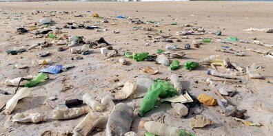 Eine grosse Mehrheit der Schweizerinnen und Schweizer macht sich Sorgen um den Plastikabfall in den Meeren und an den Stränden. (Archivbild)