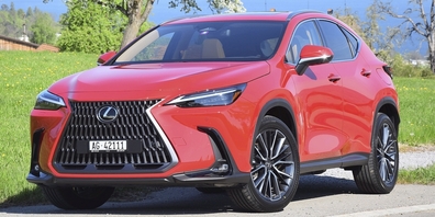 Hinter der wuchtigen Front sitzen eher zurückhaltende Menschen.