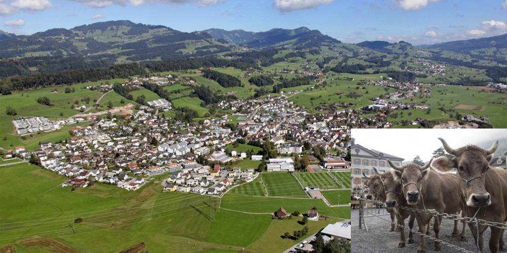 In der Gemeinde Eschenbach finden im Oktober wieder die drei Viehschauen statt. Natürlich darf auch die jeweilige Bauernchilbi nicht fehlen.
