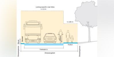 Das Lichtraumprofil über den Gehweg ist vor allem für Kinder, Geh- und Sehbehinderte sehr wichtig.