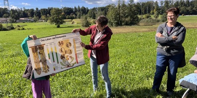 Rebekka Latzer erzählt, wie Bienen leben. 