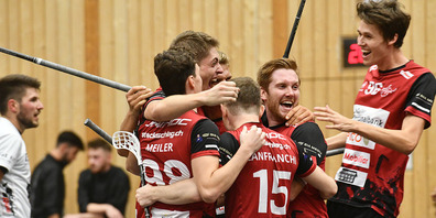 Grosse Freude: Der UHC Sarganserland ist souveräner Leader der Unihockey-NLB. 