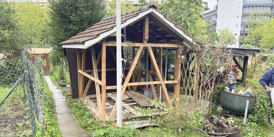 Ende Oktober ist Schluss mit Gärtnern, obwohl der Baubeginn für den neuen, vom Volk angenommenen Park wegen eines Rekurses auf unbestimmte Zeit verschoben ist. Ob deswegen mit der Rodung des grünen Fleckens Seebach nun zugewartet wird, ist noch offen. 