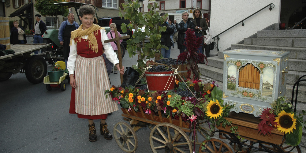 Das Weingut wird auf verschiedenen alten und originellen Gefährten von den Rebleuten in Winzertracht angeliefert