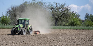 Die St. Galler Landwirtschaft soll innovativer werden. Im Landwirtschaftlichen Zentrum (LZSG) wird deshalb die Praxisforschung ausgebaut. (Symbolbild)