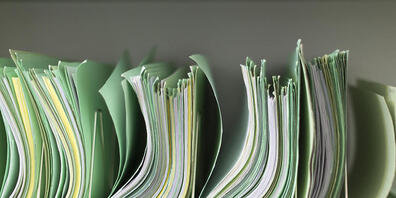 Zu viel Bürokratie: Mit dem «Gaht's-no!-Priis» würdigt die Zürcher FDP einmal jährlich Auswüchse der Bürokratie, die Privatpersonen und Unternehmen erleben. (Symbolbild)