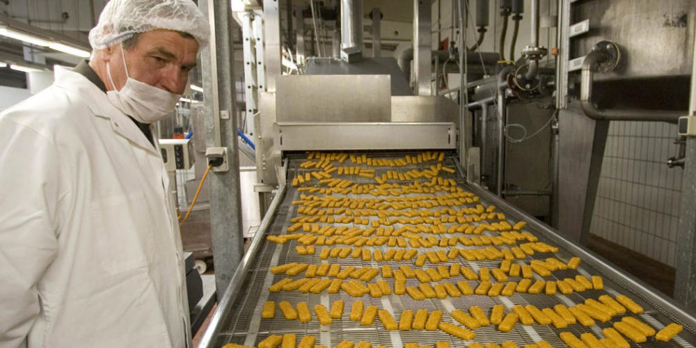 Frisch frittierte Fischstäbchen laufen in einer deutschen Fabrik vom Band (Symbolbild).
