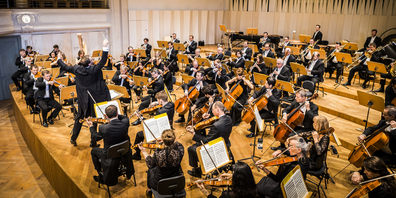 Das Sinfonieorchester St.Gallen