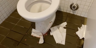 Leider kein Einzelfall: Erbrochenes und andere Verwüstungen in der Toilette im Schlosshof.