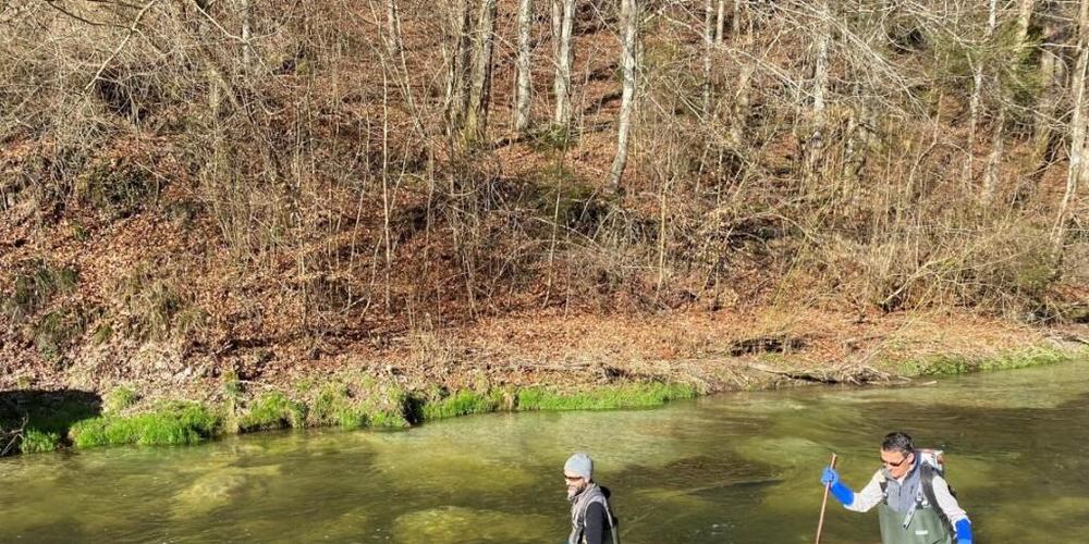 Weniger Mikroverunreinigungen bedeuten auch weniger Stress für die Fische in der Glatt.