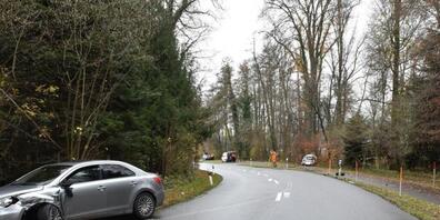 Aus noch ungeklärten Gründen geriet eine 76-jährige Autofahrerin am Freitag in Greifensee auf die falsche Spur.