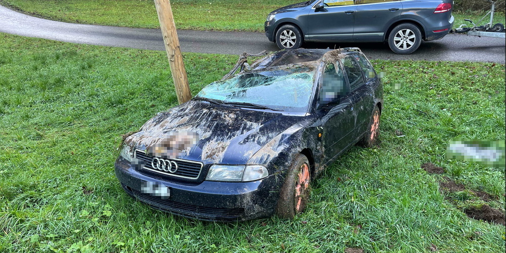 Ein 19-jähriger Autofahrer wurde dabei leicht verletzt und vom Rettungsdienst ins Spital gebracht. Es entstand Sachschaden in der Höhe von mehreren tausend Franken..