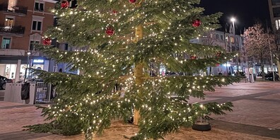 Dieses Jahr leuchtet sie noch, die Weihnachtstanne auf dem Marktplatz Oerlikon. Aber was ist 2023?