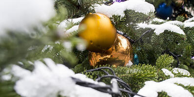 Die Schweizer Christbäume haben den trockenen Sommer gut überstanden. In diesem Jahr werden an Weihnachten rund 1,5 Millionen Bäume in den Stuben stehen. Knapp die Hälfte davon stammt  laut der IG Suisse Christbaum aus dem Inland. (Archivbild)