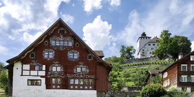 Neun Verbände wehren sich vor Bundesgericht gegen den Verlust der kantonalen Entscheidungshoheit bei bestimmten Schutzobjekten. (Symbolbild: Schloss Werdenberg)