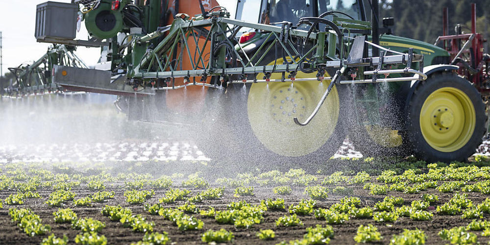 Fast 30 Prozent der Pestizid-Zulassungen in der EU sind nach Foodwatch-Recherchen im vergangenen Jahrzehnt ohne erneute Risikoüberprüfung verlängert worden. 135 der 455 in der EU zugelassenen Mittel seien betroffen. (Archivbild)
