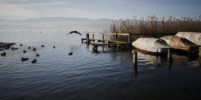 Im Greifensee im Kanton Zürich ist der Phosphor-Gehalt schon heute zu hoch. (Archivbild)