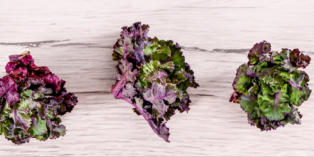 Kalettes lassen sich auf vielseitige Arten zubereiten und sind gekocht und auch roh geniessbar.