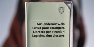 Wer gut integriert ist, soll künftig einfacher eingebürgert werden können. Der Nationalrat will die Hürden für die dritte Einwanderungsgeneration abbauen. (Themenbild)