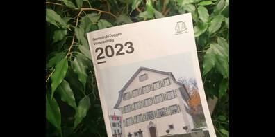 An der Budgetgemeinde in Tuggen gingen am Freitag die Wogen hoch. Deutlich höher als die Wellen im Gemeindewappen.