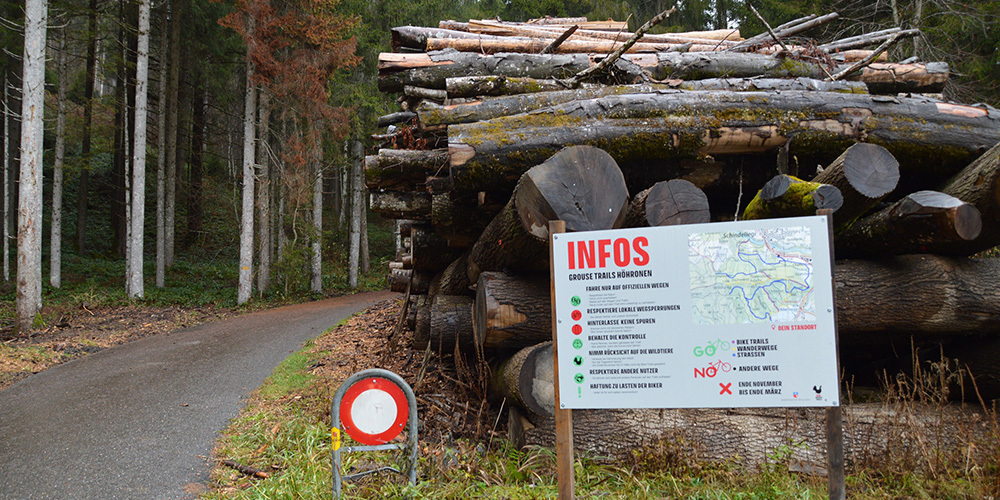 Diverse Infotafeln wie diese am Parkplatz neben der Ratenstrasse informieren die Downhill-Biker, wo sie fahren dürfen. Aktuell herrscht im Höhrohnen-Wald jedoch Winterruhe.