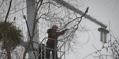 Arbeiter des Stromversorgungsunternehmens DTEK Stromleitungen entfernen Äste von Stromleitungen, während Instandhaltungsmaßnahmen. Foto: Andrew Kravchenko/AP/dpa