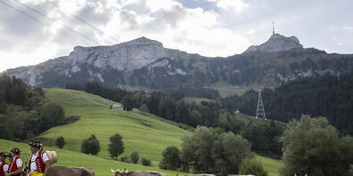 Wohin soll die Landwirtschaft gehen? Der Ständerat debattiert am Dienstag über die Agrarpolitik der Zukunft. (Themenbild)