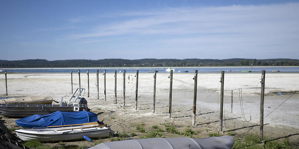 Im Naturkundemuseum "inatura" in Dornbirn A wird in einer neuen Ausstellung über den Bodensee das Auf und Ab des Seespiegels erklärt. (Archivbild)
